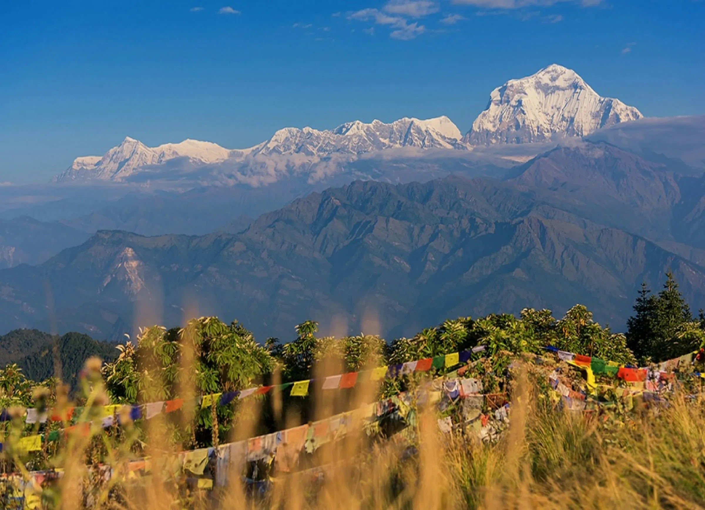 Dhaulagiri range above prayer flags on Poon Hill, Ghorepani