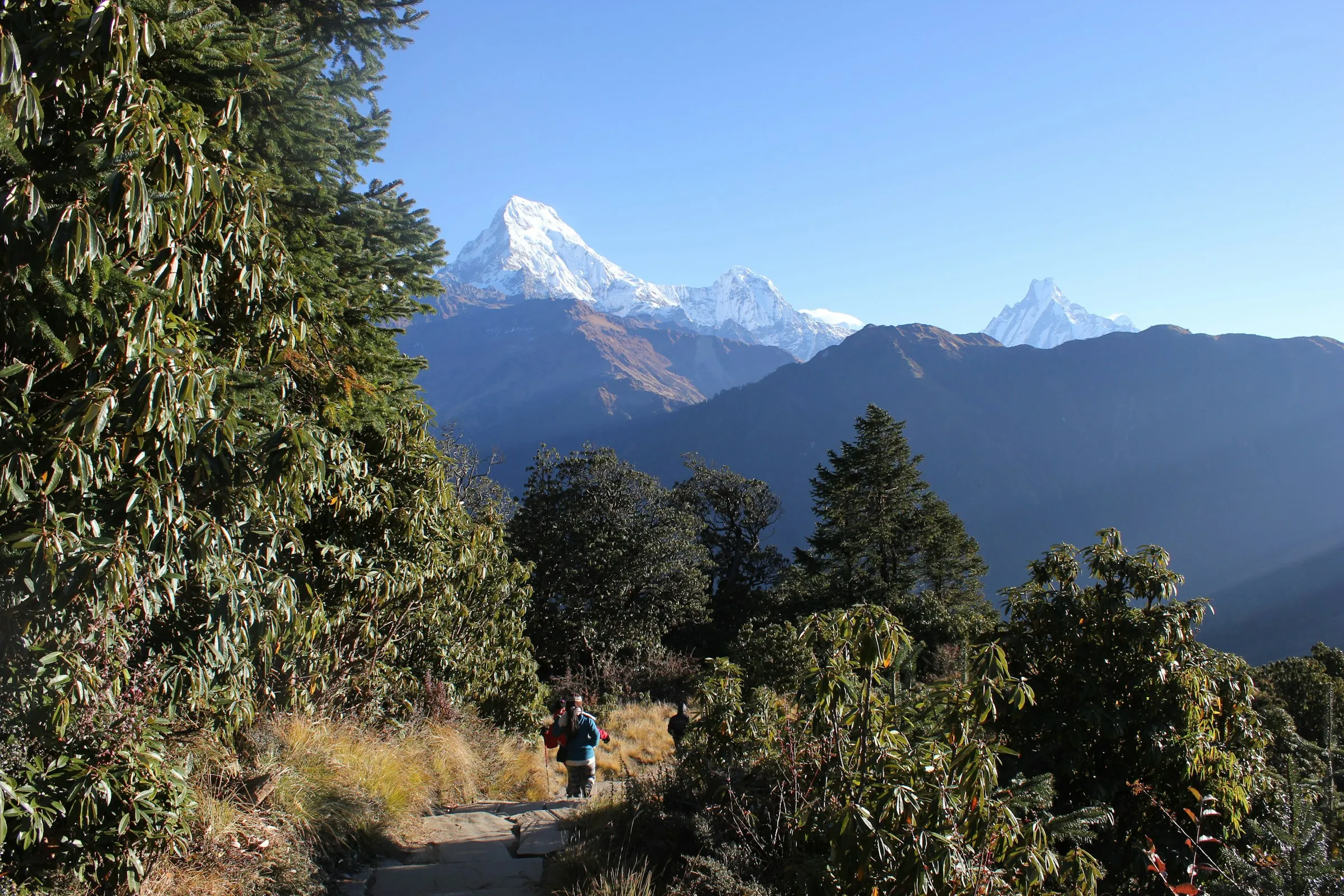 Trekkers on the trail through the Langtang valley